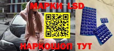 a pvp Можга