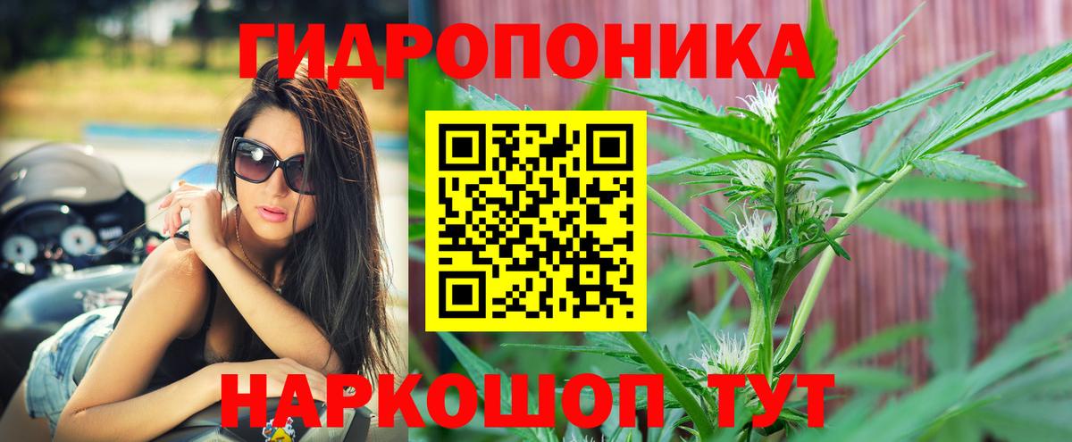 Канабис сатива Уварово